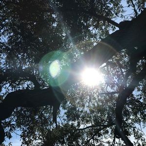 Meet your Posher, Mmorgan